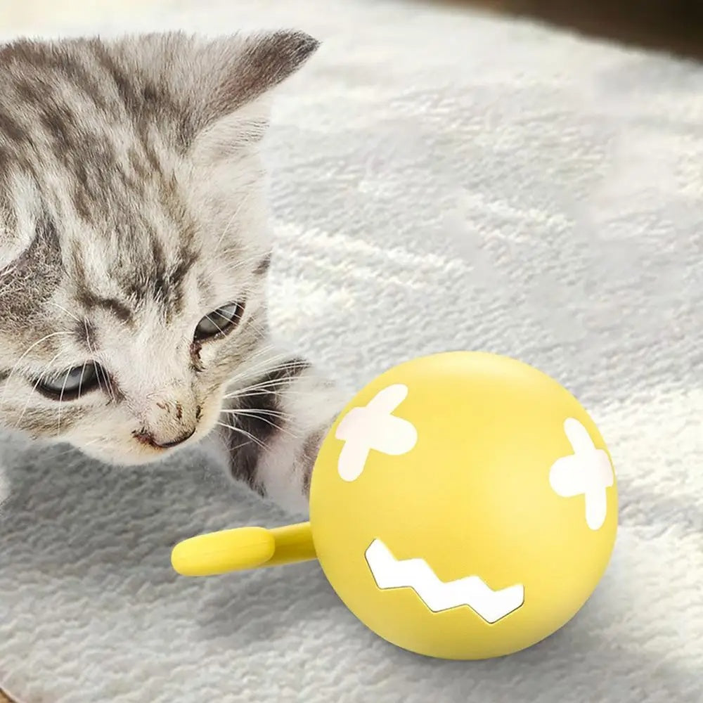 Da Boss SmartChase interactive rolling pet toy with cat